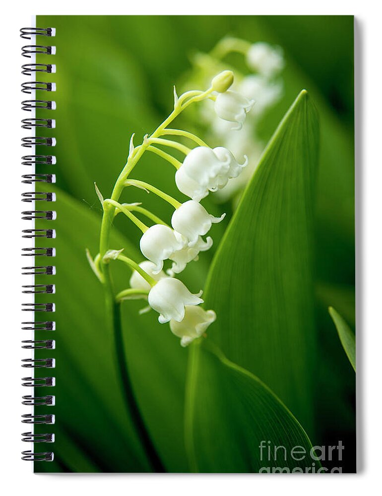 Maine Spiral Notebook featuring the photograph Lilly of the Valley Bells by Alana Ranney