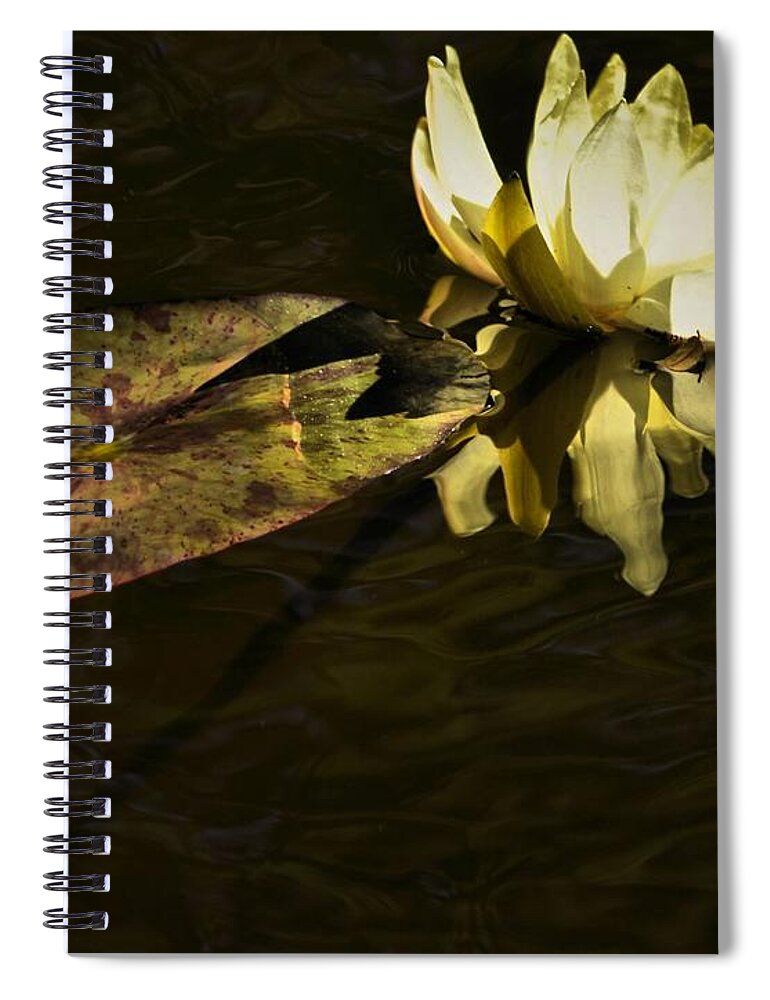 Water Lily Spiral Notebook featuring the photograph Lily Beth by Robert McCubbin