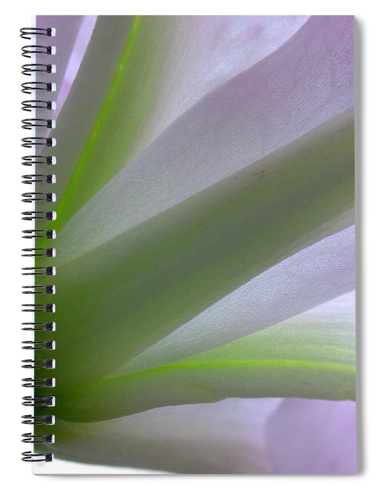 Luminous Spiral Notebook featuring the photograph Lily Fine Art by Juergen Roth