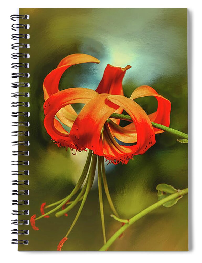 Lily Spiral Notebook featuring the photograph Lily #h8 by Leif Sohlman