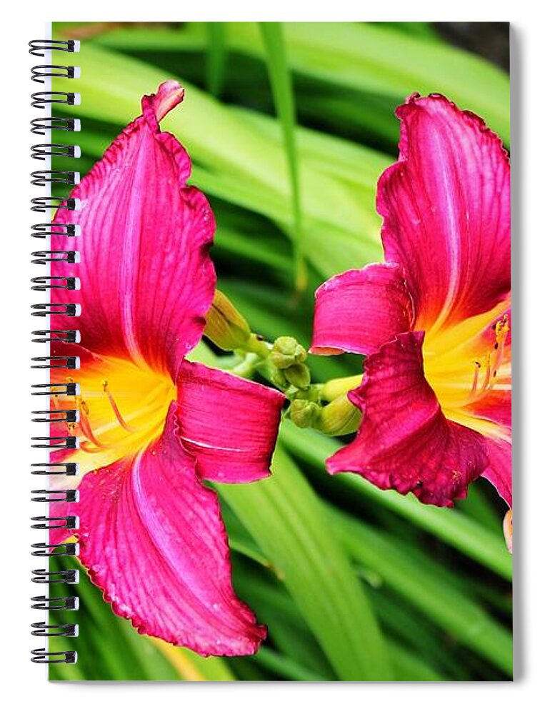 Lily Spiral Notebook featuring the photograph Lily by Jackie Russo