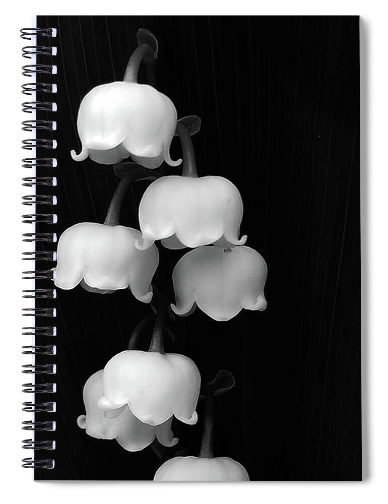 Lily Of The Valley Spiral Notebook featuring the photograph Lily of the Valley by Holly Ross
