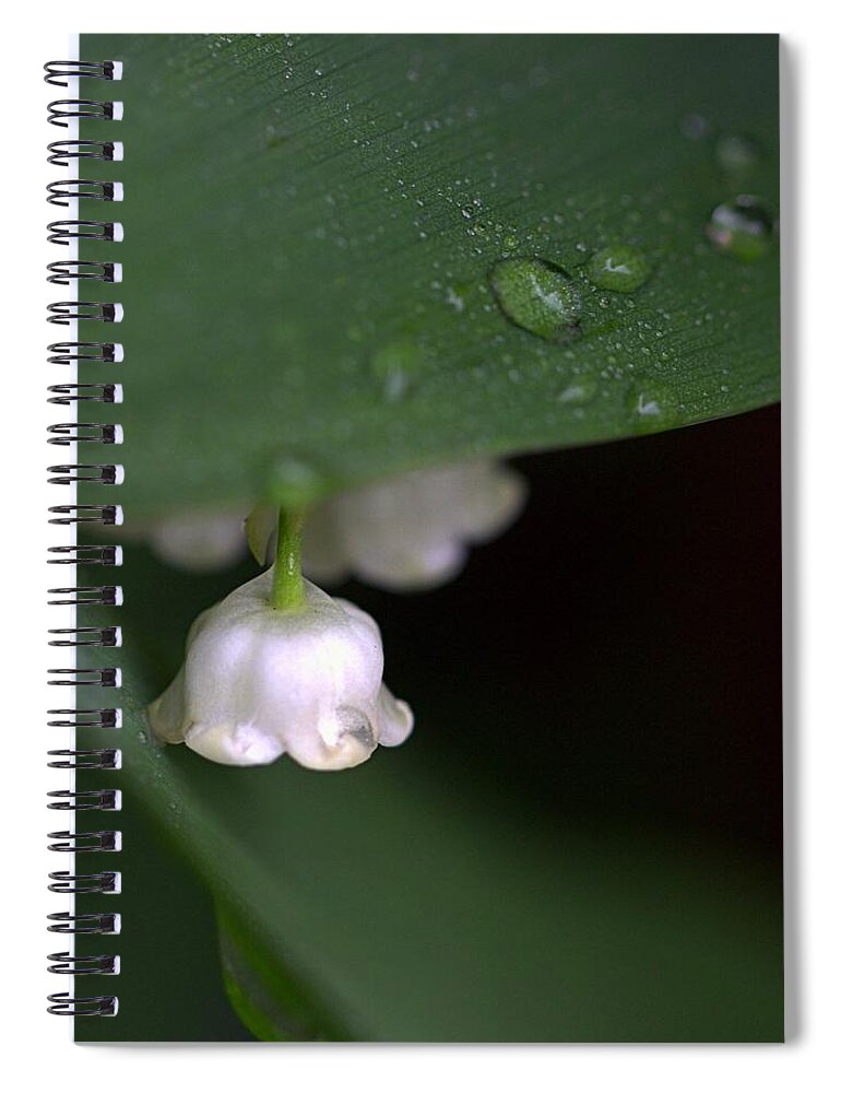 Skompski Spiral Notebook featuring the photograph Lily Of The Valley by Joseph Skompski