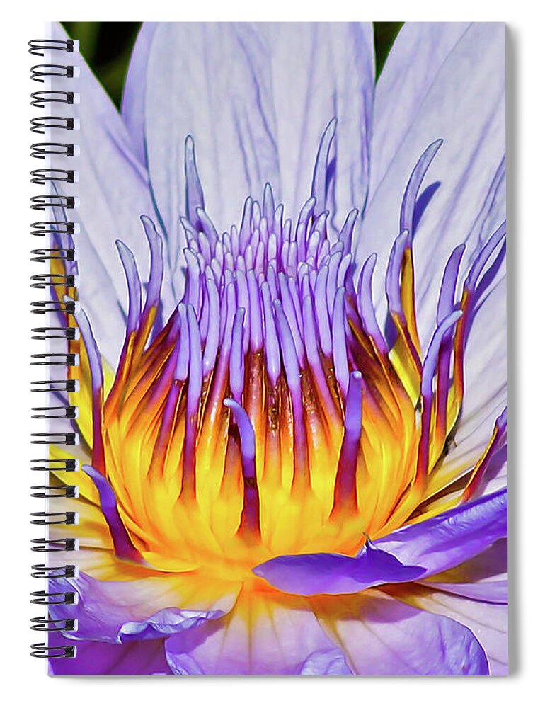 Flower Spiral Notebook featuring the photograph Lily on Fire by Joe Kopp