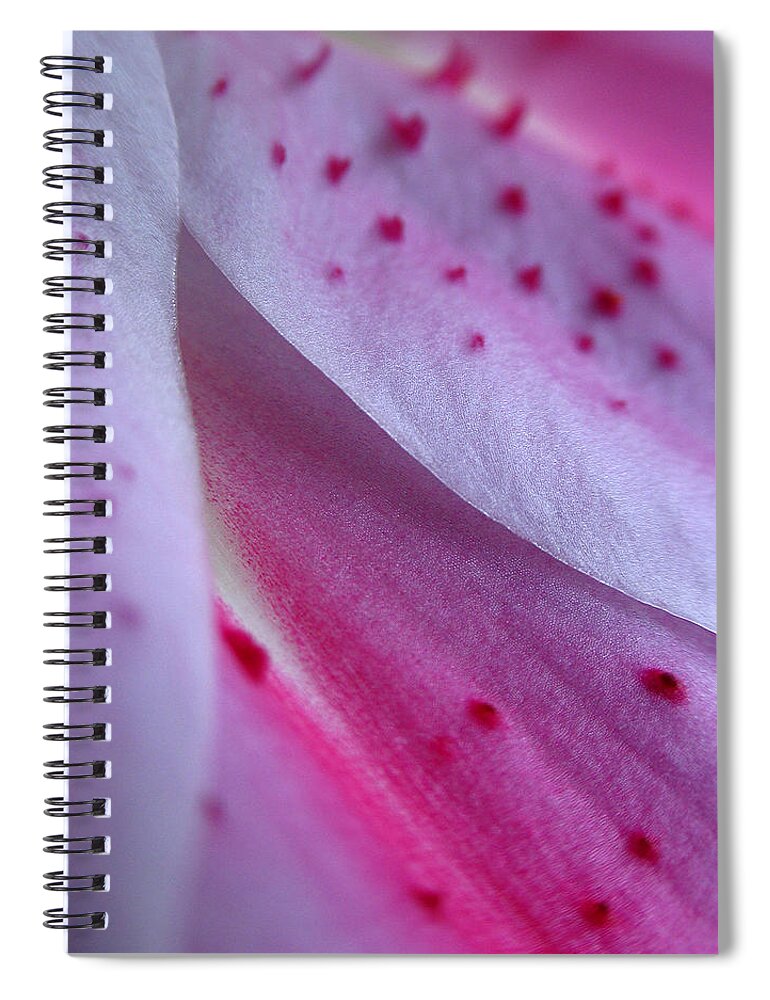 Lily Spiral Notebook featuring the photograph Lily Petals by Juergen Roth