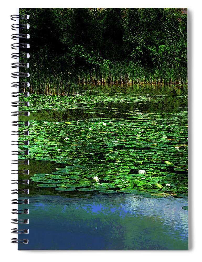 Pond Spiral Notebook featuring the photograph Lily Pond by Elaine Manley