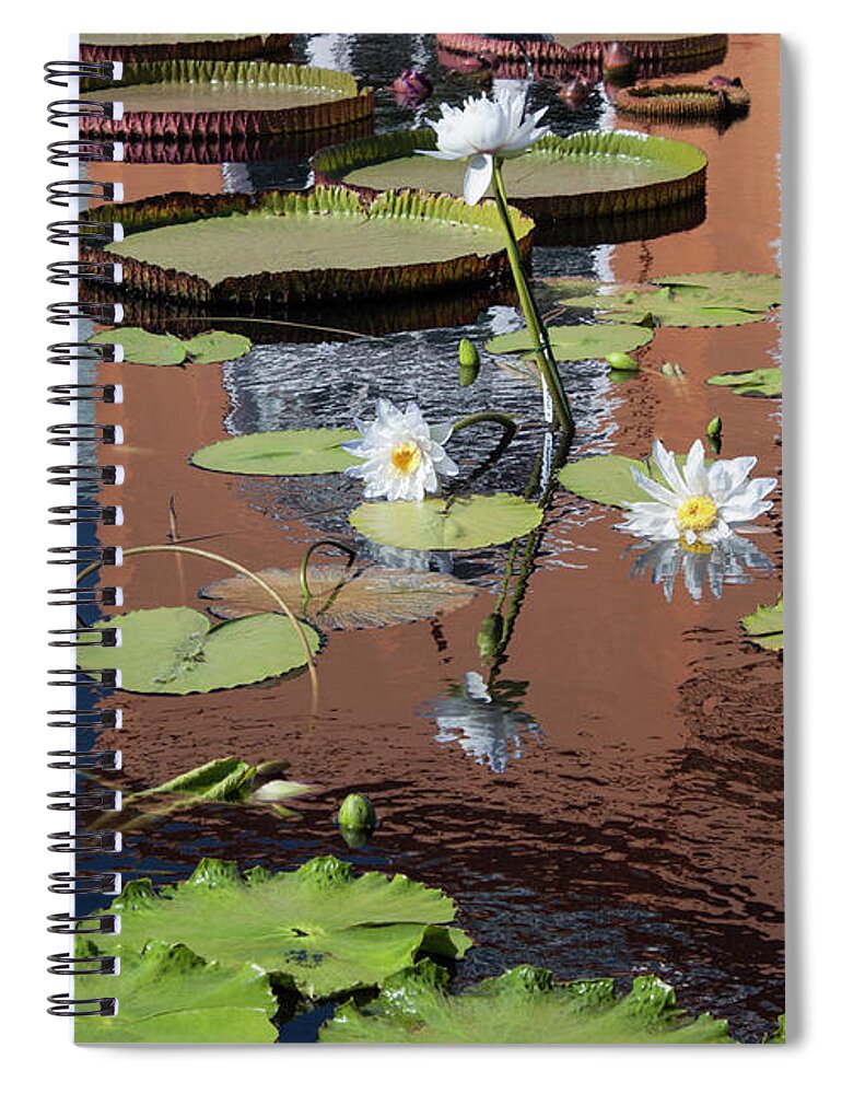 Photograph Spiral Notebook featuring the photograph Lily Pond Reflections by Suzanne Gaff