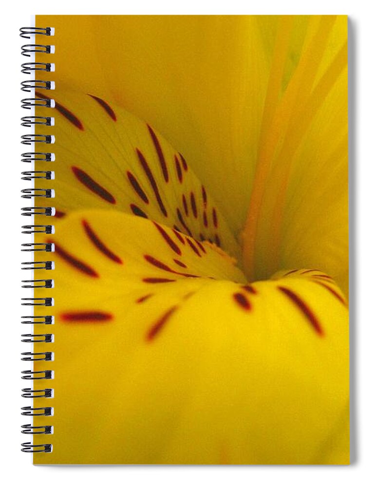 Yellow Spiral Notebook featuring the photograph Lily by Rhonda Barrett