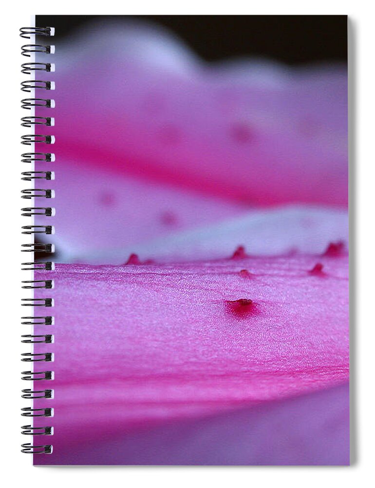 Lily Spiral Notebook featuring the photograph Lily Sepal by Juergen Roth