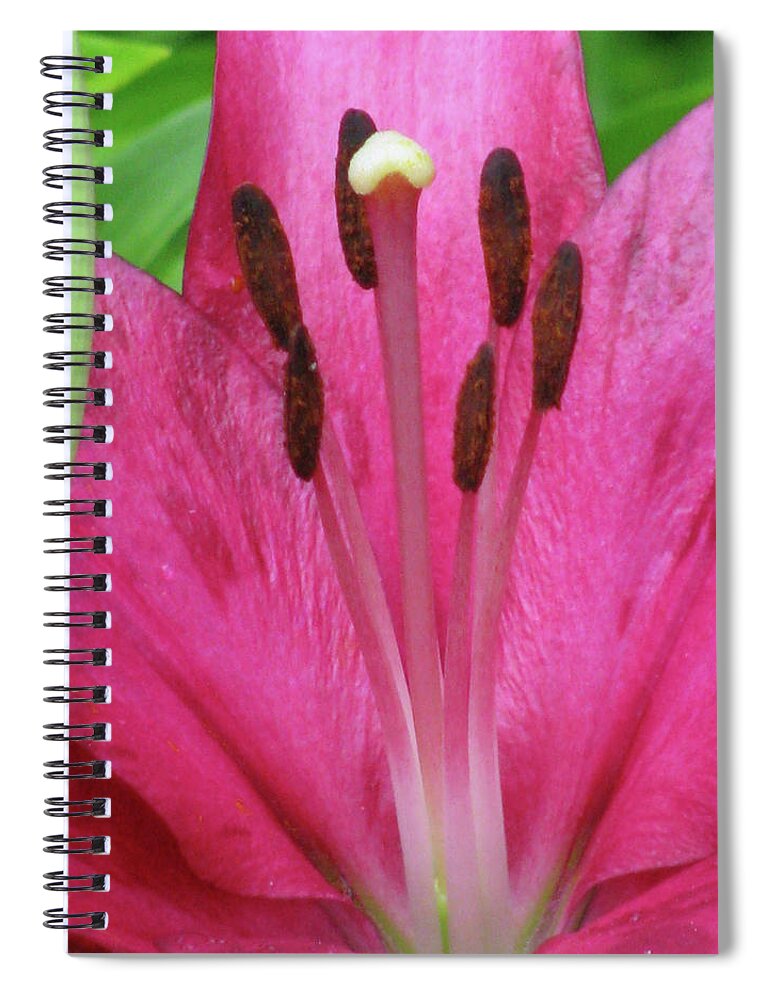 Lily Spiral Notebook featuring the photograph Lily - Simply Spring 19 by Pamela Critchlow
