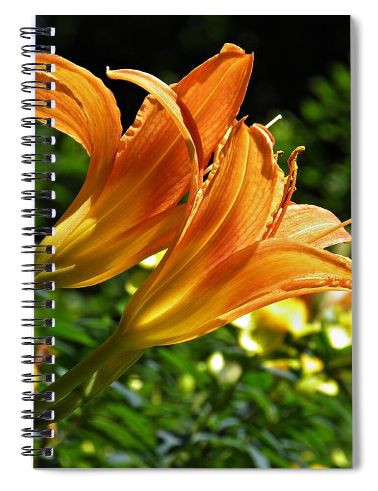 Lily Spiral Notebook featuring the photograph Lily Twins by Sarah Loft