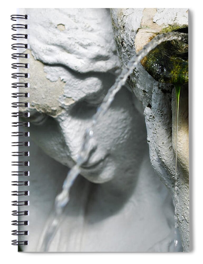 Lincoln Park Conservatory Spiral Notebook featuring the photograph Lincoln Park Conservatory Fountain by Kyle Hanson