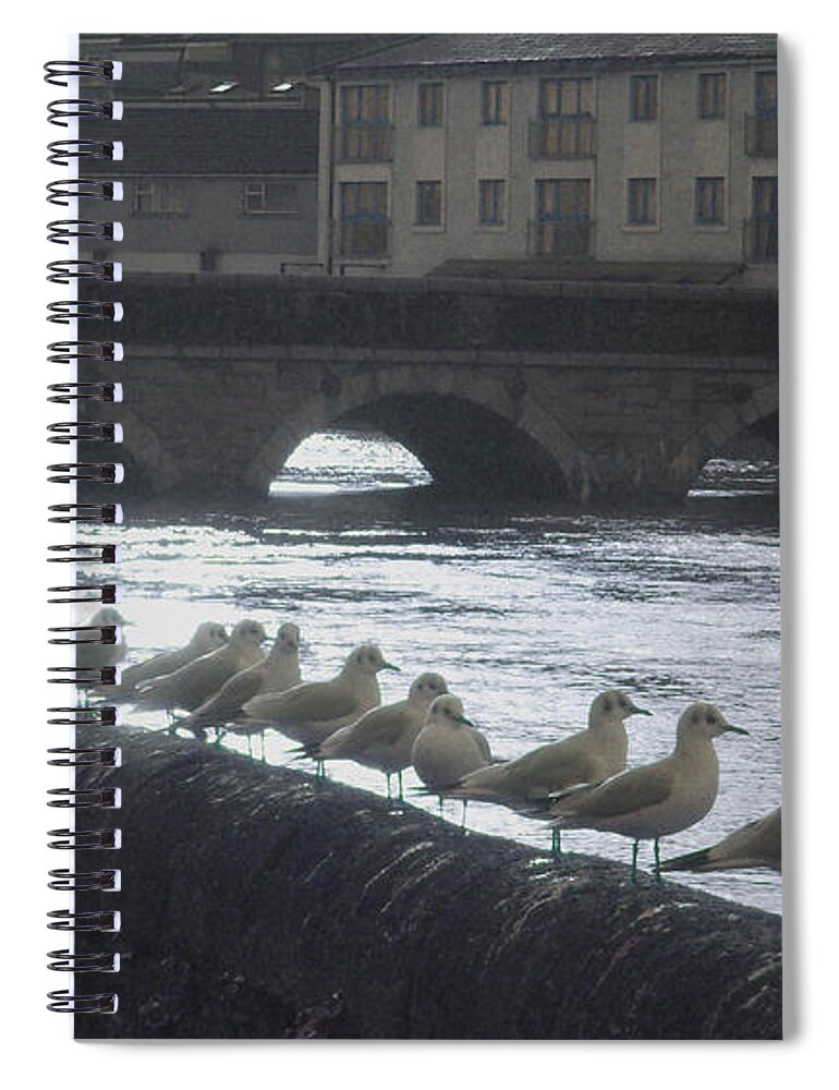 Birds Spiral Notebook featuring the photograph Line of Birds by Tim Nyberg
