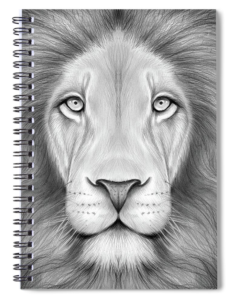 Lion Half Face Art Print by J Novis Elkins | Society6