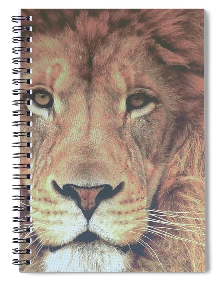  Big Cats Art Spiral Notebook featuring the photograph Lion of Judah by Dennis Baswell