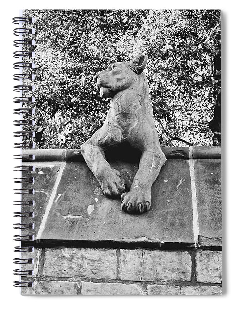 Lioness Spiral Notebook featuring the photograph Lion on the Wall by Rachel Morrison