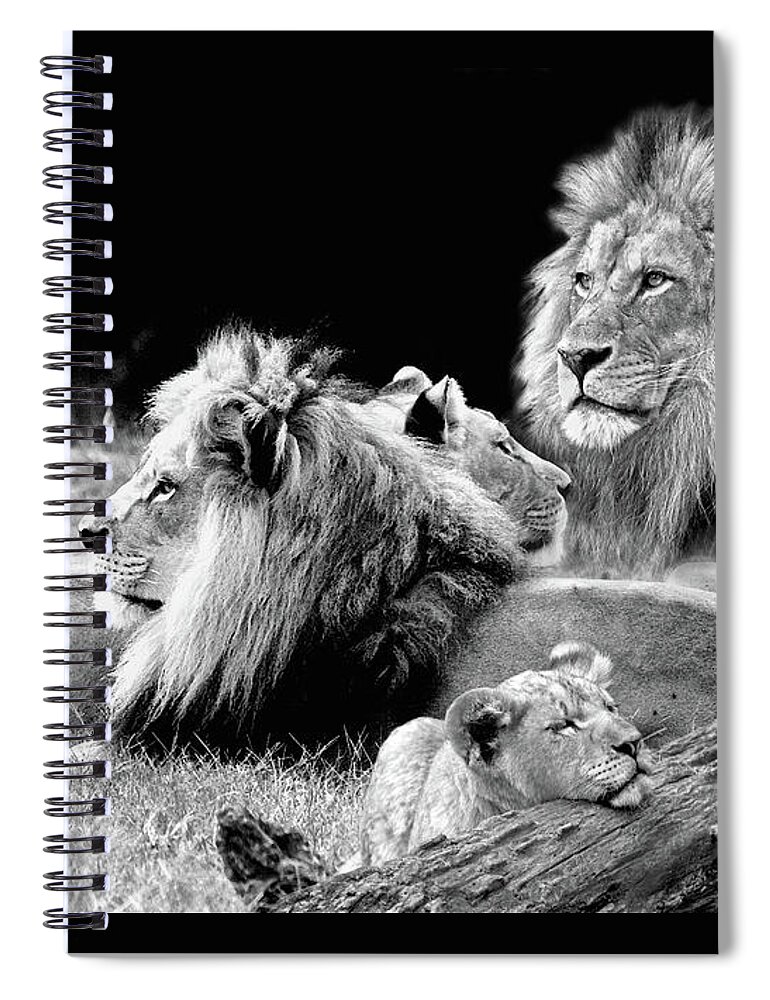 Lion Pride Spiral Notebook featuring the photograph Lion Pride by Steve and Sharon Smith