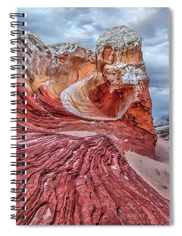 Arizona Spiral Notebook featuring the photograph Lionheart by David Andersen