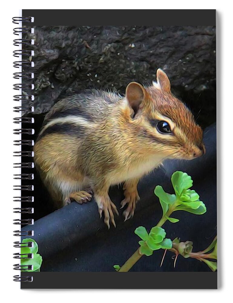 Nature Spiral Notebook featuring the photograph Little Chipmunk by Yvonne Wright