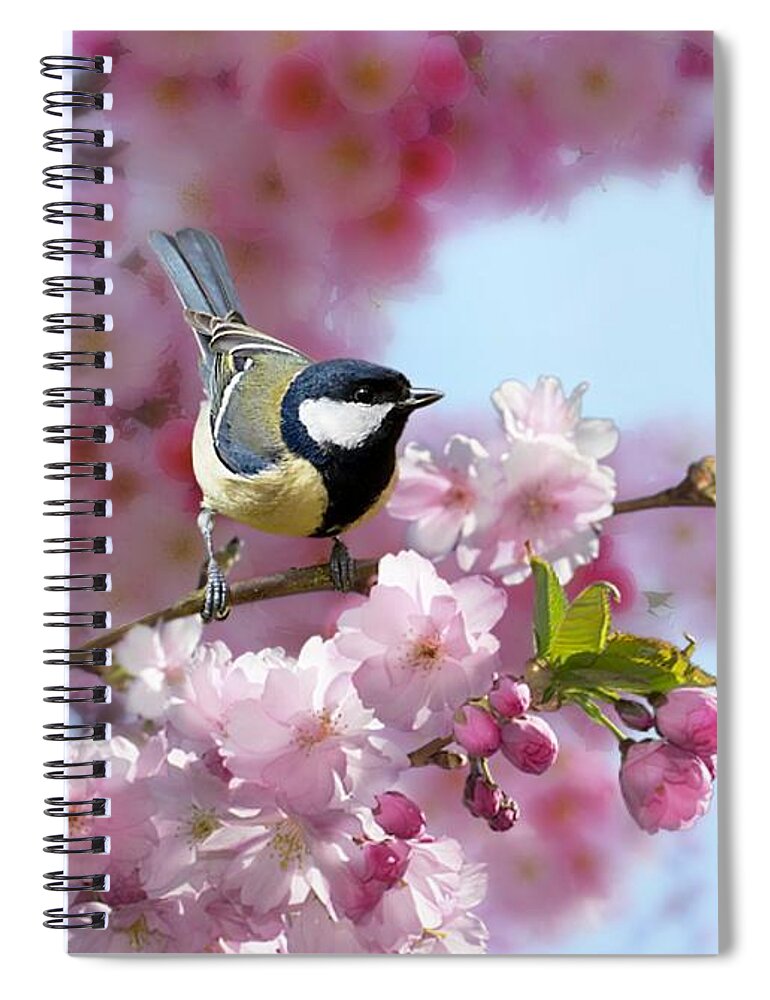 Coal Tit Spiral Notebook featuring the mixed media Little Coal Tit by Morag Bates
