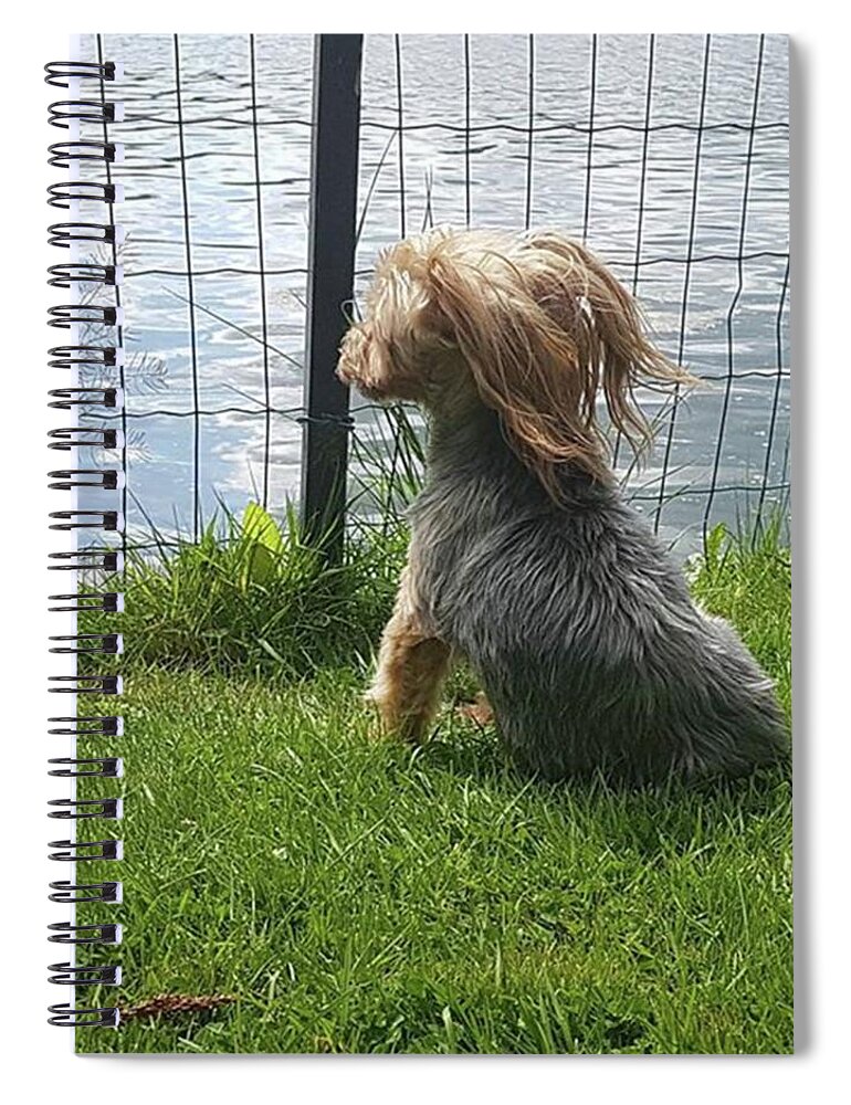 Dog Spiral Notebook featuring the photograph Enjoying The Breeze by Rowena Tutty