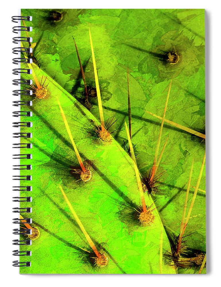 Photography Spiral Notebook featuring the photograph Prickly Pear by Paul Wear