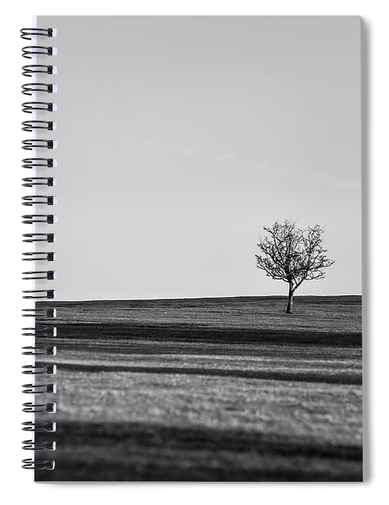 Landscape Spiral Notebook featuring the photograph Lone Hawthorn Tree iv by Helen Jackson