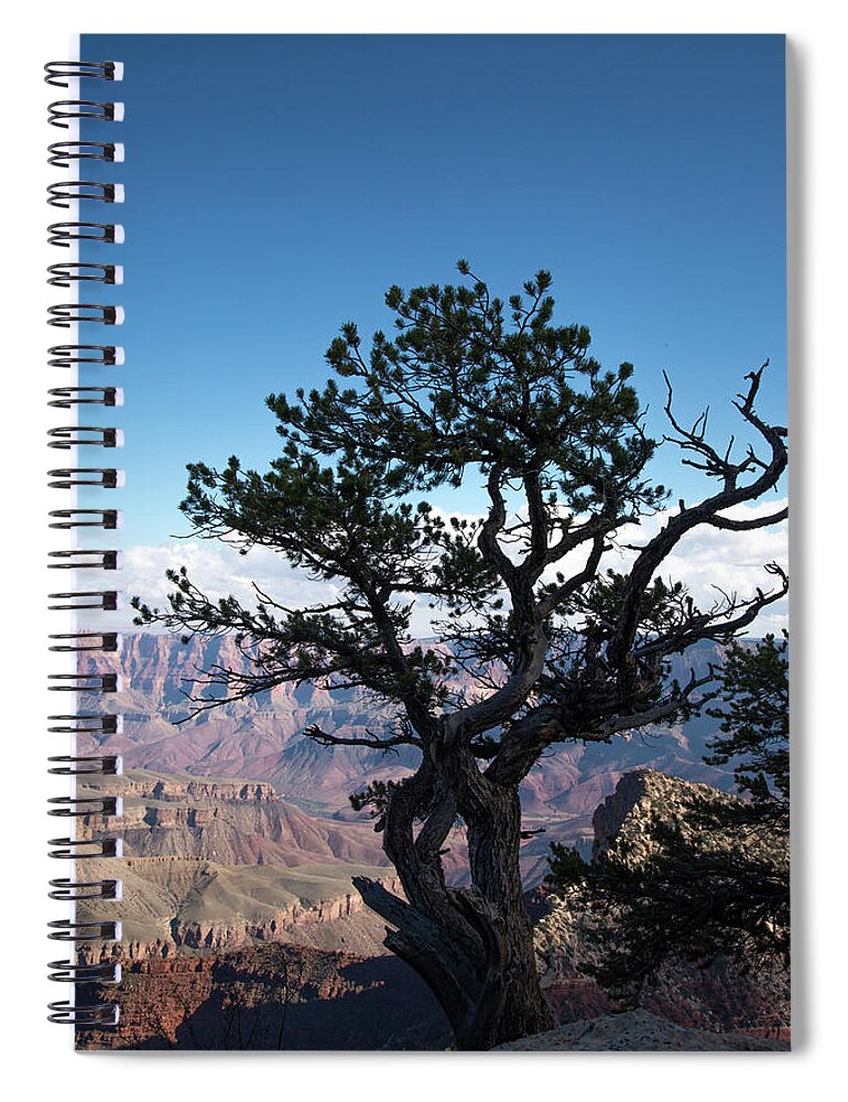 Grand Canyon National Park Spiral Notebook featuring the photograph Lone Tree 2 by Frank Madia