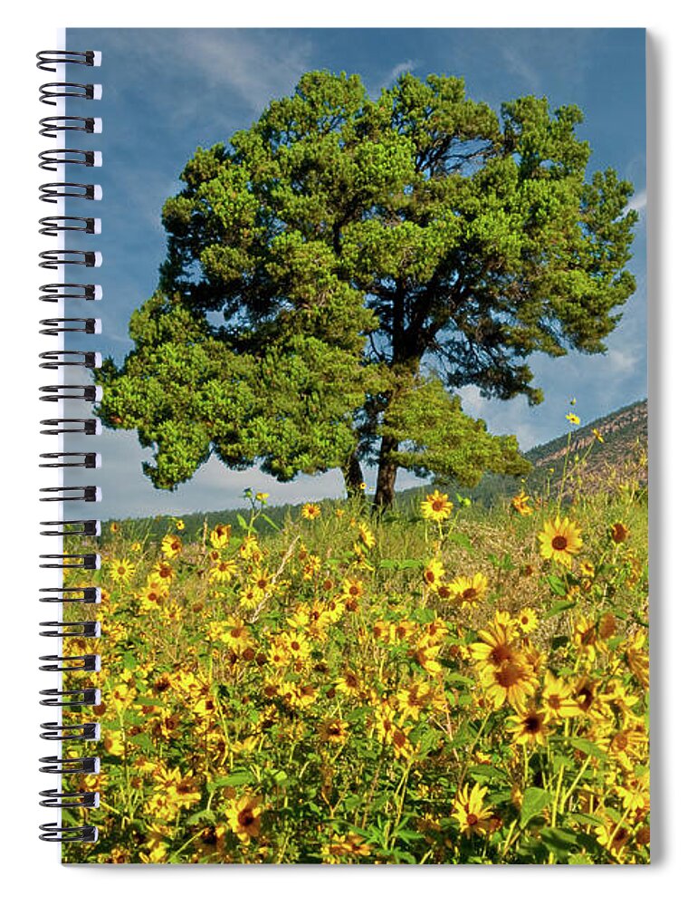 Arizona Spiral Notebook featuring the photograph Lone Tree in a Sunflower Field by Jeff Goulden