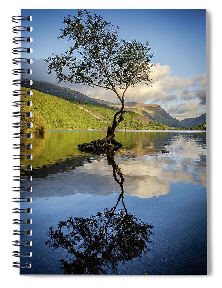 Gwynedd Spiral Notebook featuring the photograph Lone Tree, Llyn Padarn by Peter OReilly