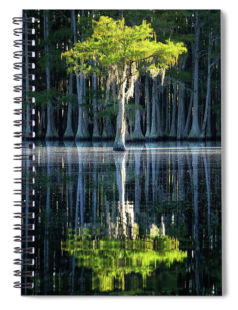Abstract Spiral Notebook featuring the photograph Lonely Cypress - 2 by Alex Mironyuk