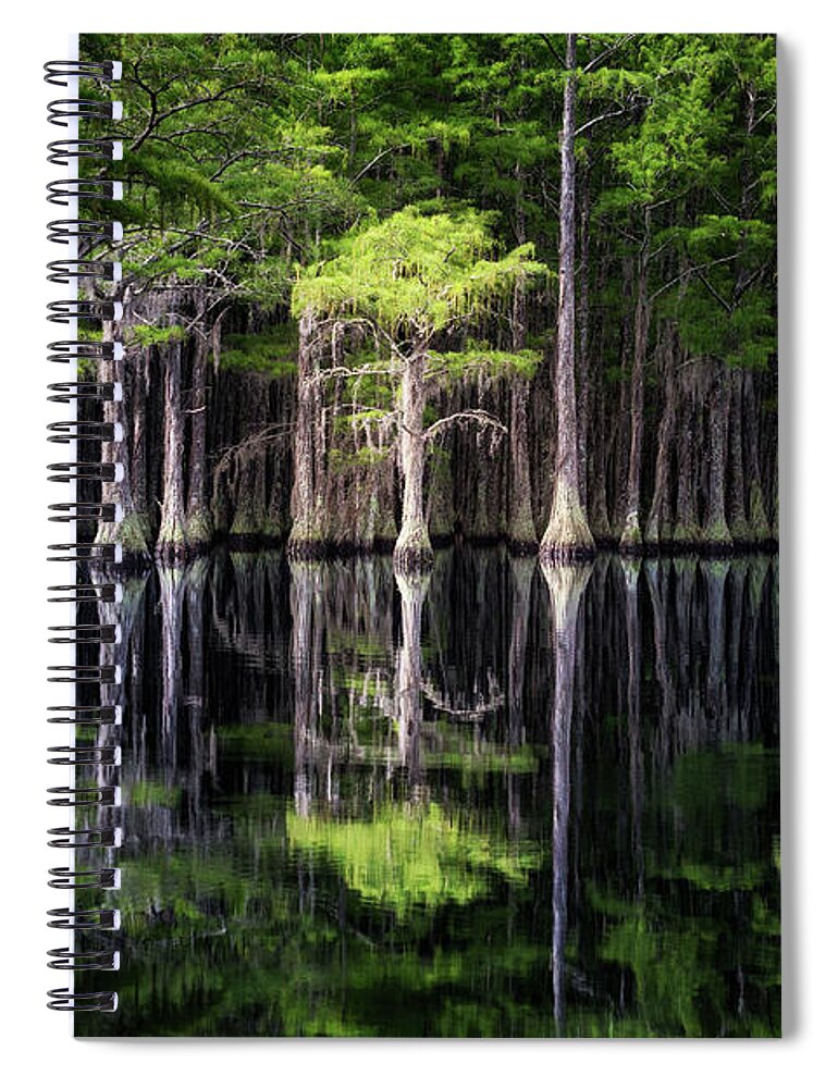 Abstract Spiral Notebook featuring the photograph Lonely Cypress by Alex Mironyuk
