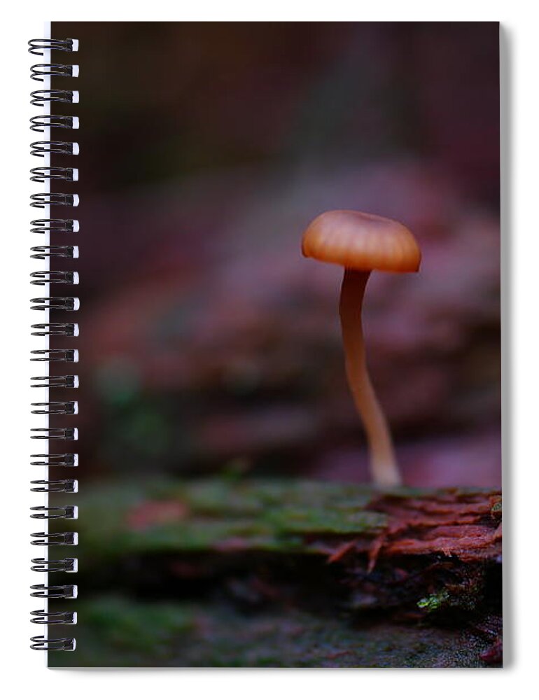 Macro Spiral Notebook featuring the photograph Lonely in the world by Jeff Swan