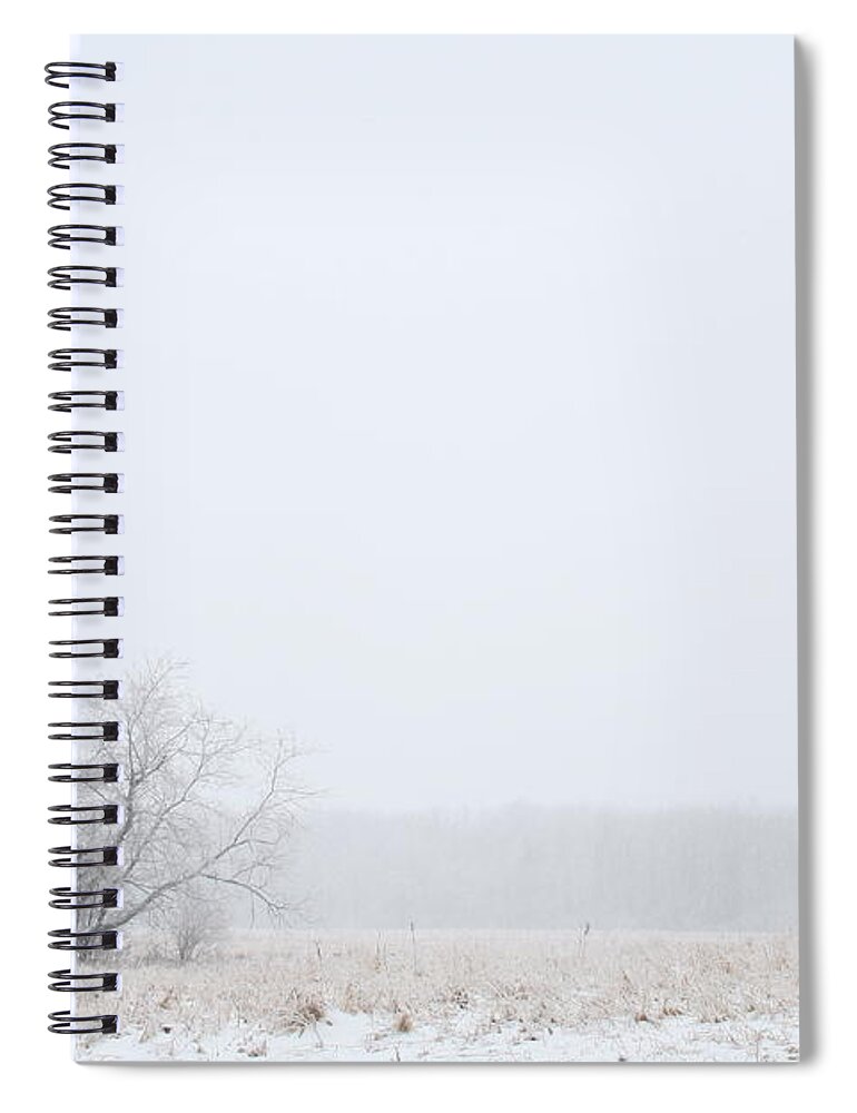 Winter Spiral Notebook featuring the photograph Lonely by Monroe Payne
