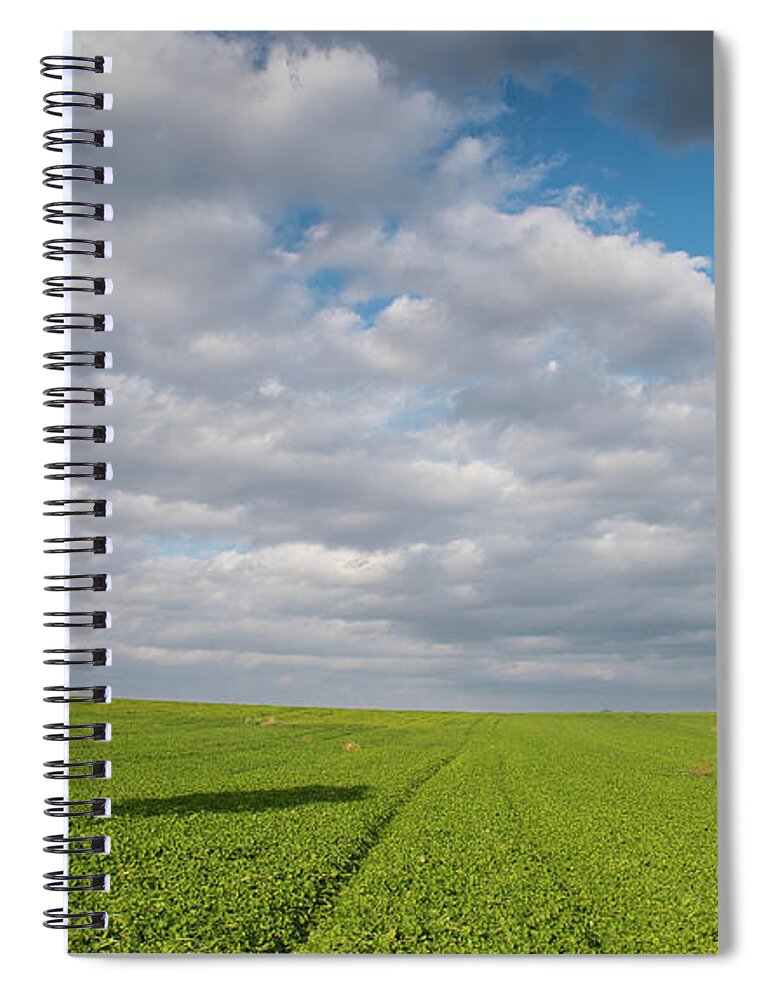 Olive Tree Spiral Notebook featuring the photograph Lonely Olive tree in a green field and moving clouds by Michalakis Ppalis