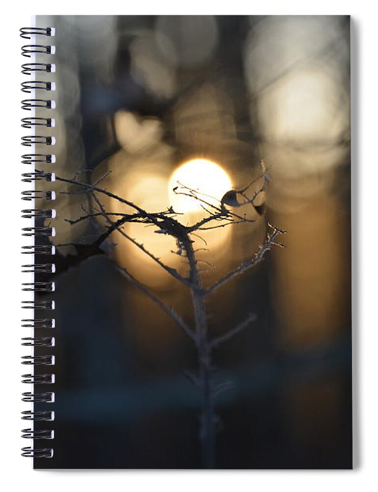 Adrian-deleon Spiral Notebook featuring the photograph Lonely Tree Branch With Bokeh Love -Georgia by Adrian De Leon Art and Photography