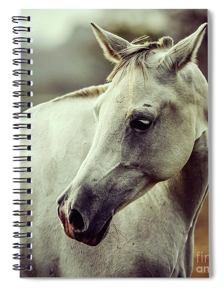 Horse Spiral Notebook featuring the photograph White horse close up vintage colors portrait by Dimitar Hristov