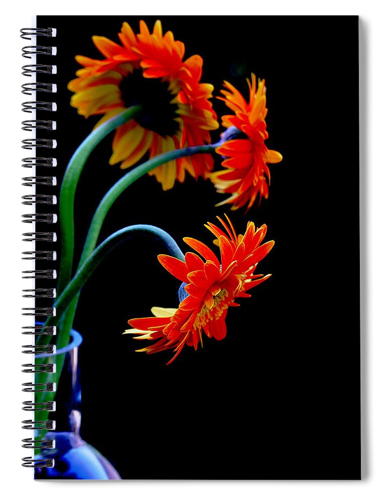 Gebera Spiral Notebook featuring the photograph Look Away by Rebecca Cozart