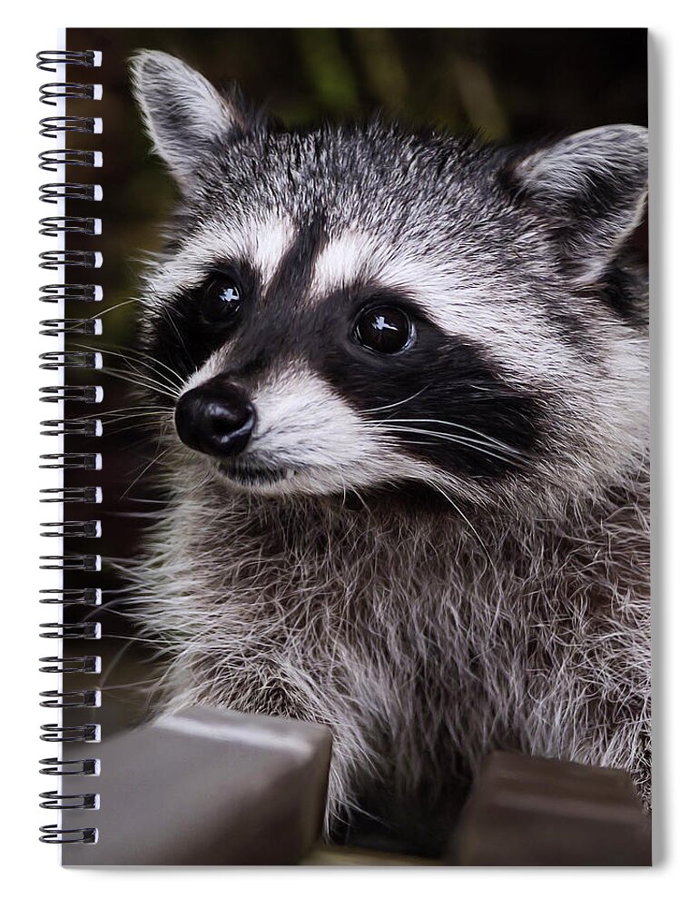 Look Who Came For Dinner Spiral Notebook featuring the photograph Look Who Came for Dinner by Jordan Blackstone