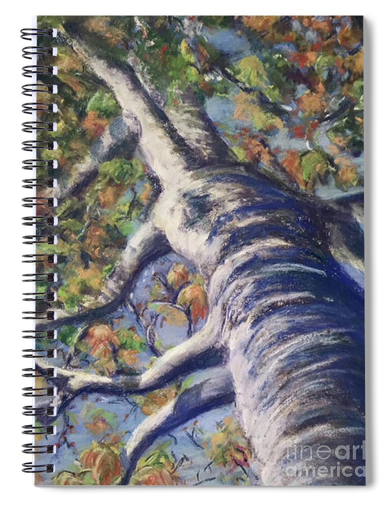 Trees Spiral Notebook featuring the painting Looking Up - Fall by Susan Sarabasha