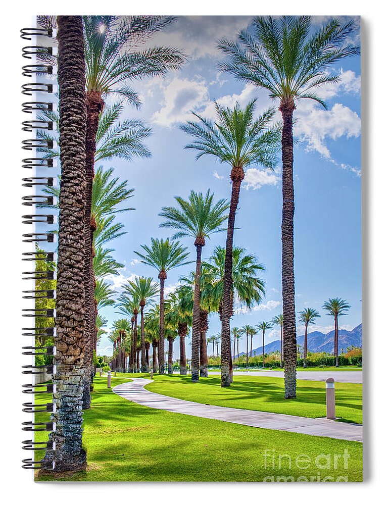 Palm Desert Spiral Notebook featuring the photograph Looking Up Palm Trees Vertical by David Zanzinger