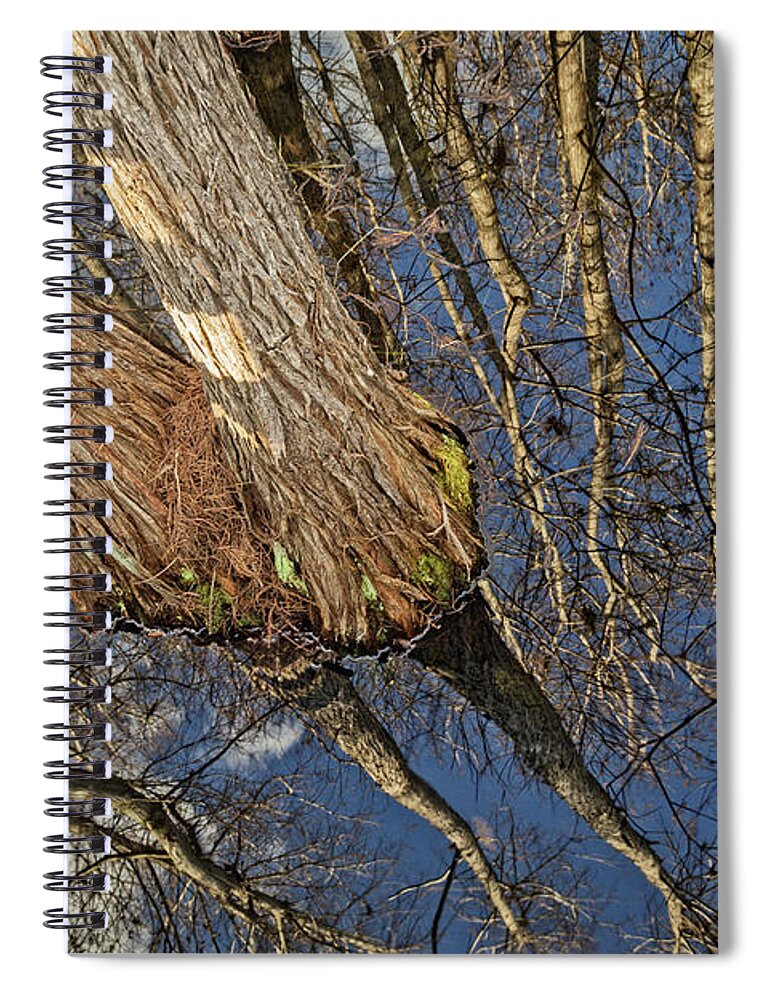 Clouds Spiral Notebook featuring the photograph Looking Up While Looking Down by Debra and Dave Vanderlaan