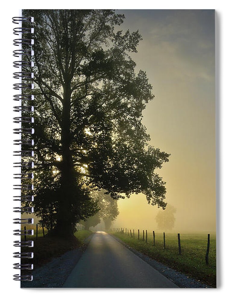 Tree Spiral Notebook featuring the photograph Loop Rd Sunrise by Douglas Stucky