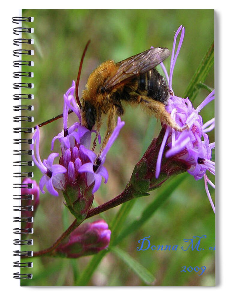 Bee Spiral Notebook featuring the photograph Lost Treasures by Donna Brown