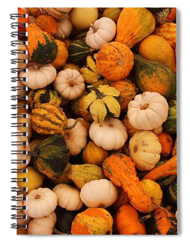 Autumn Spiral Notebook featuring the photograph Lots of Gourds by Robert Wilder Jr