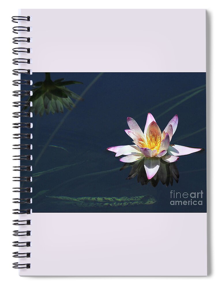 Lotus Spiral Notebook featuring the photograph Lotus and Reflection by Paula Guttilla