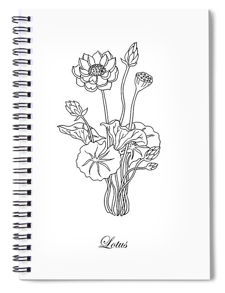 Lotus Spiral Notebook featuring the drawing Lotus Flower Botanical Drawing Black And White by Irina Sztukowski
