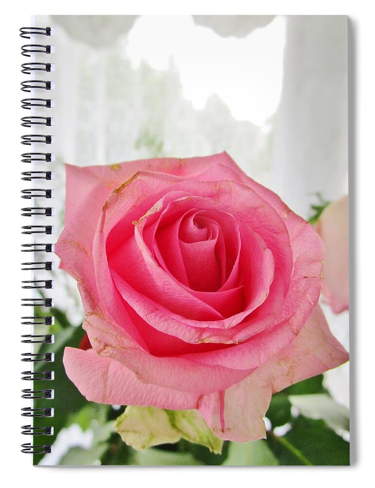 Roses Spiral Notebook featuring the photograph Loveliness by Rosita Larsson
