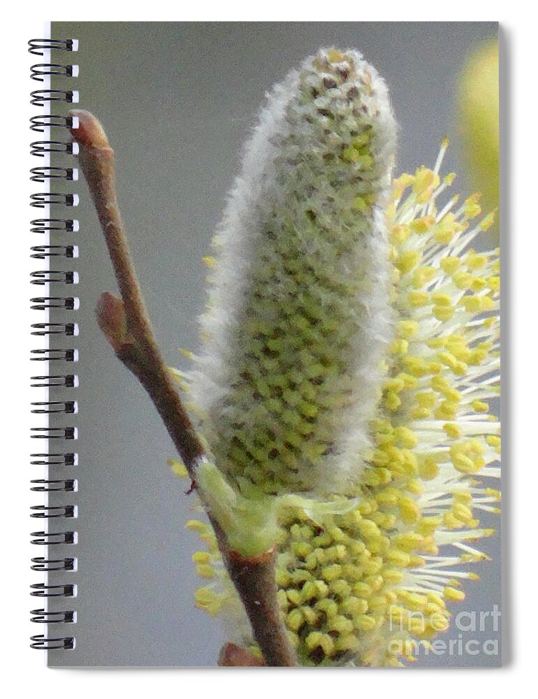 Spring Spiral Notebook featuring the photograph Lovely spring by Karin Ravasio
