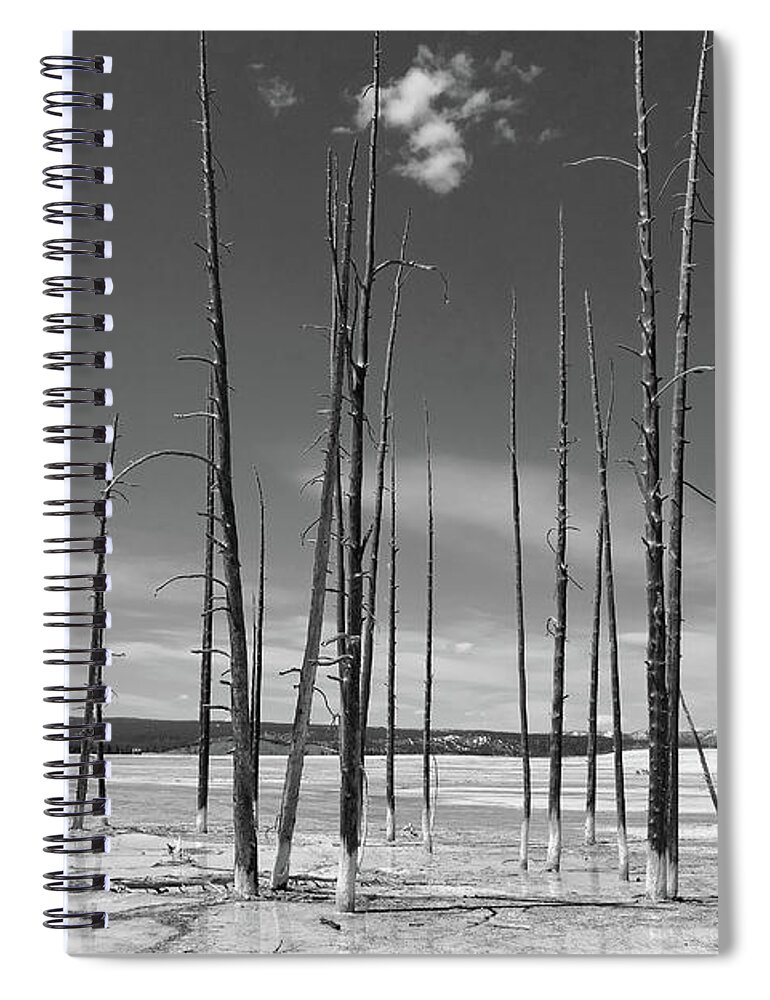 Geyser Spiral Notebook featuring the photograph Lower Geyser Basin 1 by JustJeffAz Photography
